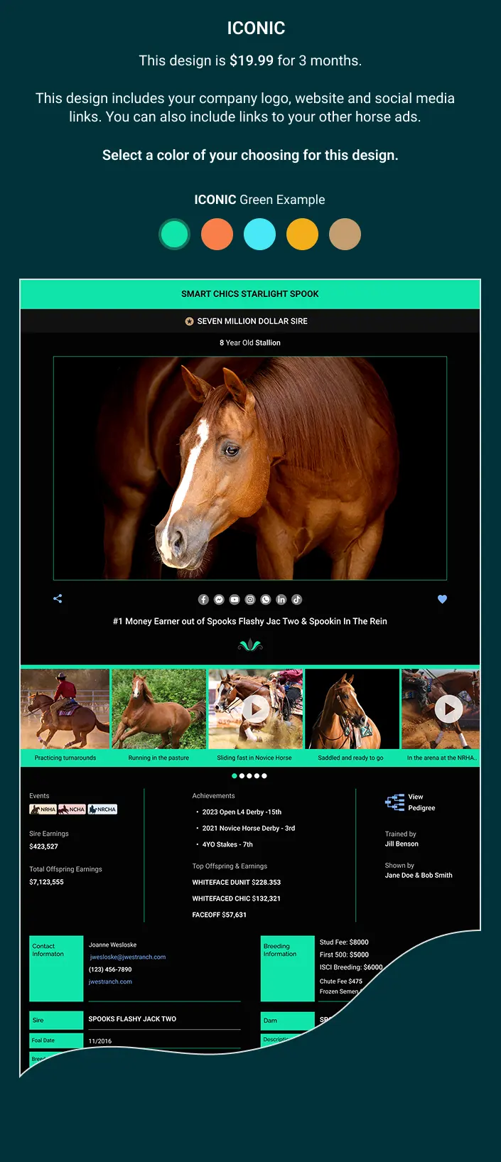 Iconic color horse ad sample.