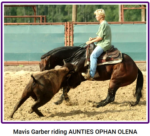 Mavis Garber working a cow on horseback.